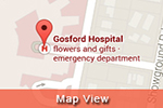Map View