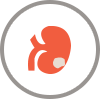 Kidney Cancer Cancer