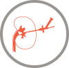 Kidney and Urinary Tract 
Stone Disease