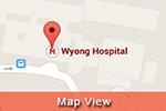 Map View